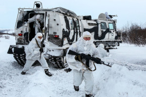 Датско-американское военное сотрудничество и Арктика. Перспективы в условиях глобальной политической нестабильности