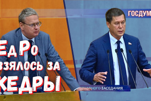 «Единая Россия» взялась за живущих добычей кедрового ореха