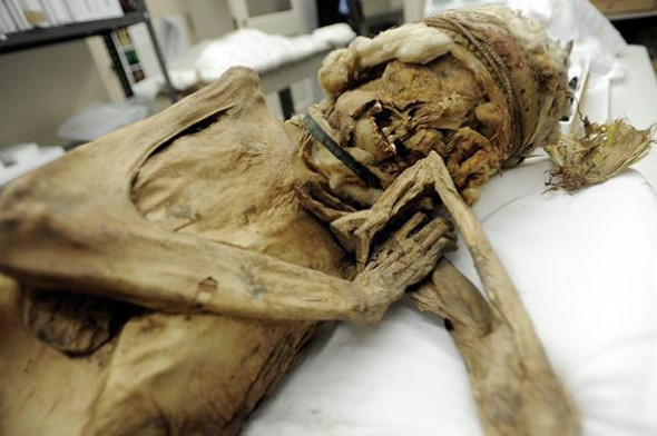 Утешение демократии, или #metoo по-вашингтонски: американец насиловал 2500-летнюю египетскую мумию