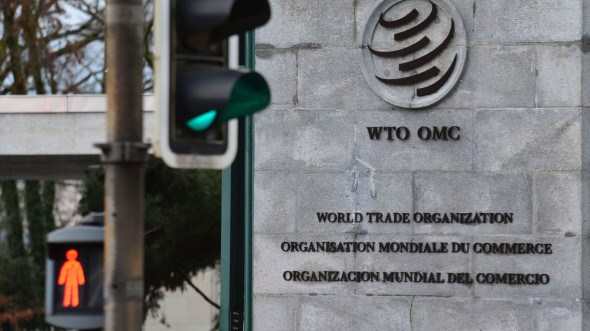 Член правительства: без ВТО мы не знаем, как устанавливать пошлины