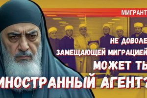 Что грозит тем, кто будет возмущаться замещающей миграцией в России