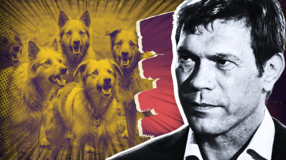 Царёв выявил сетку телеграм-каналов, занимавшихся травлей патриотов Царёв выявил сетку телеграм-каналов, занимавшихся травлей патриотов