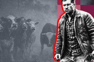 Насилие, произвол и угрозы — Делягин попросил Бастрыкина разобраться с истреблением скота в Сибири