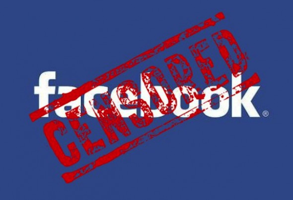 В Госдуме направили в Facebook претензии к нацистам